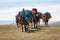 Caravan of camels in Mongolia