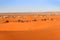 Caravan of camels , Sahara Desert, Morocco