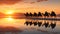 Caravan of camels on the salt lake at sunrise