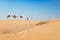 Caravan of camels in the Sand dunes desert of Sahara