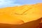 A caravan of camels among the sand dunes in the Sahara Desert. Africa. Morocco.