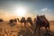 Caravan camels sunrise. Generate Ai