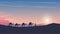 caravan of camels at sunset arabic desert