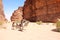 Caravan of camels in Wadi Rum desert, Jordan