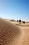 Caravan in desert Sahara