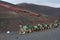 Caravan of dromedaries lying in front of the Timanfaya national park