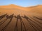 A caravan of dromedaries passing the Sahara desert in the evening