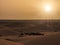 A caravan of dromedaries passing the Sahara desert in the evening