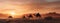 a caravan of Indian camels, led by experienced camel drivers, traversing the mesmerizing desert sand dunes at sunset