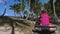 Caravan of quad bike on the sand of the beach near the palm trees.