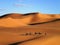 Caravan in Sahara Desert, Morocco