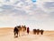 Caravan in the sahara desert at sunset moves away to the horizon