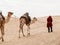 Caravan in the sahara desert at sunset moves away to the horizon