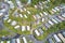 Caravan site park aerial view traveller holiday homes at Cloch site near Wemyss Bay