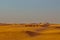 Caravan with tourists among the sand dunes of the desert close up. Dubai 2019.