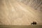 Caravan travellers riding camels Nubra Valley Ladakh ,India