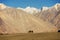 Caravan travellers riding camels Nubra Valley Ladakh ,India