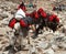 Caravan of yaks with bags on the way to mount Everest