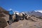 Caravan of yaks in the Nepal Himalaya