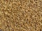 Caraway seeds background