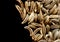 caraway seeds background