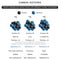 Carbon atom Isotopes Infographic Diagram