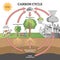 Carbon cycle with CO2 dioxide gas exchange process scheme outline concept