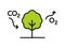 Carbon cycle. Tree absorbs CO2 and releases O2. Photosynthesis process diagram.