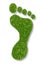 Carbon Footprint