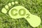 Carbon footprint concept with CO2 text against footprint in grass shape - CO2 Neutral and ecological concept with foot symbol