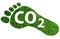 Carbon footprint symbol, barefoot footprint made of lush green grass with text CO2