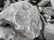 Carbon fossil found on Szarlota heap
