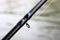 Carbon rod for feeder fishing with feeder cord close-up