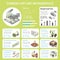 Carbon Storage Sequestration Infographics