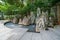 Carbonic acid spring source, Tanasangen Park in Arima Onsen