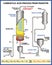 Carboxylic acid process from paraffin. Vector illustration