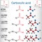 Carboxylic acids formic, acetic, propionic, butyric, valeric.