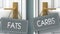 Carbs or fats as a choice in life - pictured as words fats, carbs on doors to show that fats and carbs are different options to