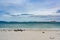 Carcass Island, Falkland Islands, magellanic penguins at beautiful beach, cruiser on light green and blue ocean