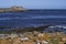 Carcass Island landscape  in the Falkland Islands
