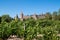 Carcassonne citadel seen from the vineyards