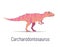 Carcharodontosaurus. Theropoda dinosaur. Colorful vector illustration of prehistoric creature carcharodontosaurus in