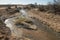 Carcoory  artesian  bore in western Queensland,