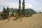 Carcross desert