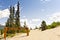 Carcross desert and sign