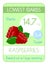 Card of carbohydrates and sugar in fruits. Low level. Raspberry.