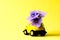 Card with a little toy car delivering bouquet flowers on yellow background