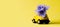 Card with a little toy car delivering bouquet flowers on yellow background