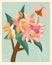 Card with plumerias in a green background.