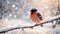 card seasonal cartoon character bird seasonal season creative design holiday winter snow decoration